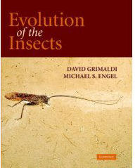 Evolution of Insects